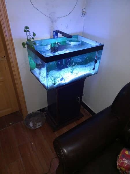 Fish Aqurium glass tank and accessories for sale (Peshawar) 9