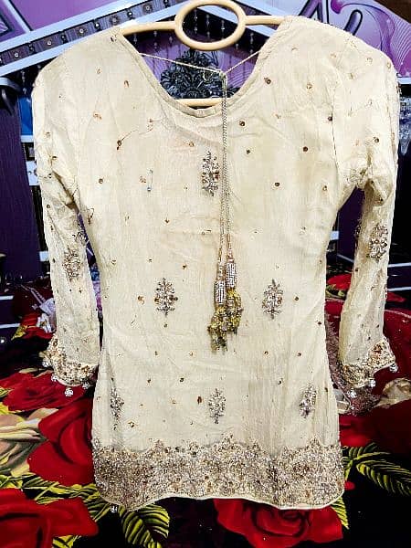Bridal Sharara and it's matching jewelry At lowest price. 9