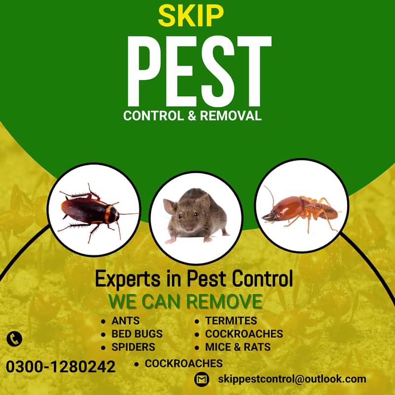 Pest Control/Termite Control/Fumigation Spray/Deemak Control Services 5