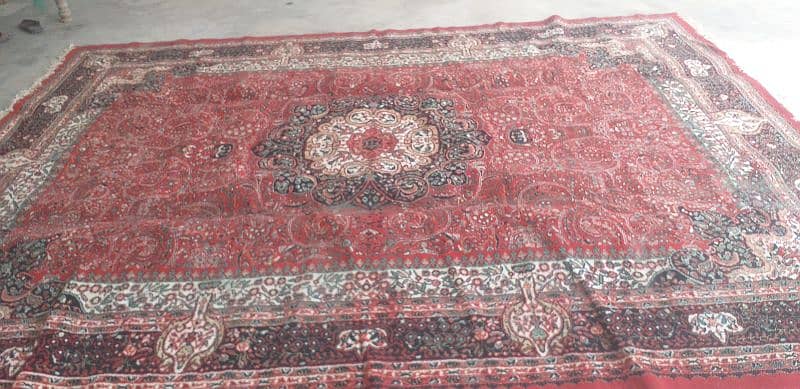 carpet    used omain 1