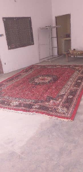 carpet    used omain 3