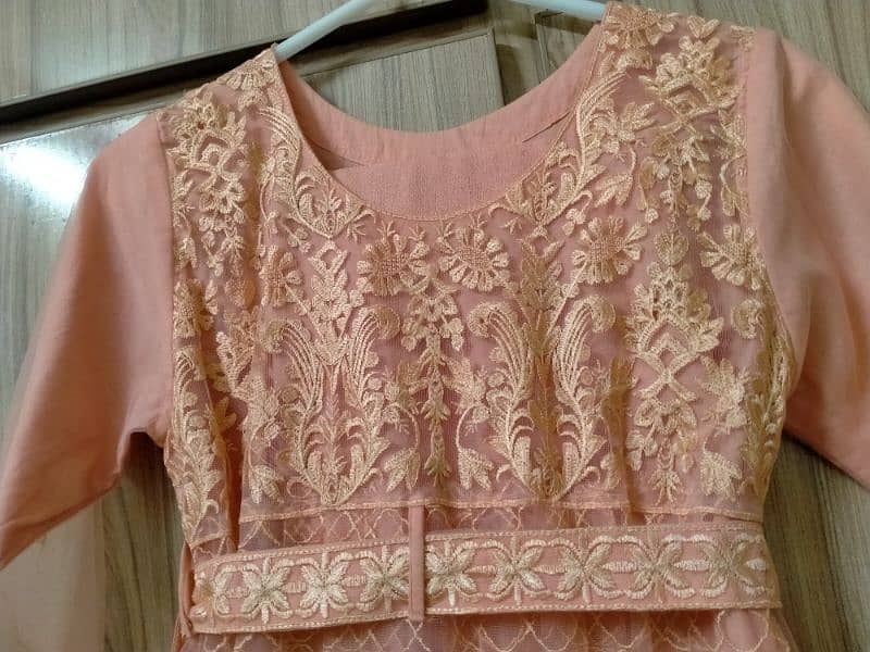 Net frok with embroidery size (s) 1