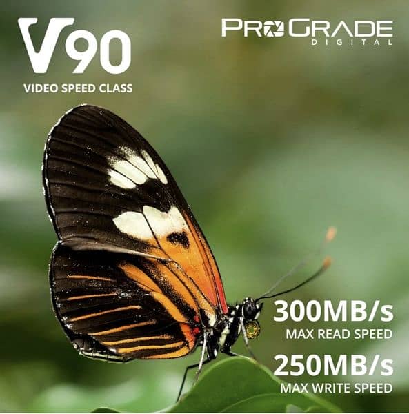 ProGrade Digital SDXC UHS-II V90 300R Geheugenkaart (256GB) 2