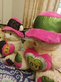 a pair of teddy bear with reasonable price
