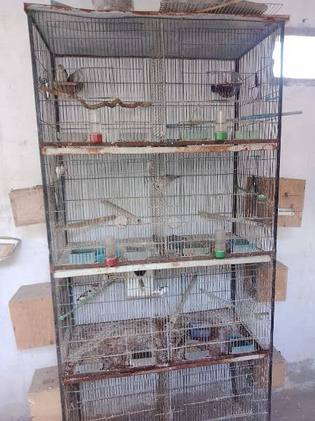 2 cage for sale 0