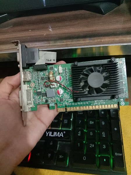 Graphics card Nvidia GeForce gt610 (1gb) ddr 3 1