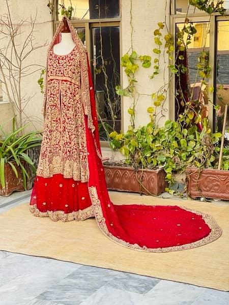 Bridal Dress / Bridal lehnga and shirt with long tail 1