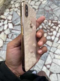 Iphone Xs PTA Approved  Golden 64GB final Hai