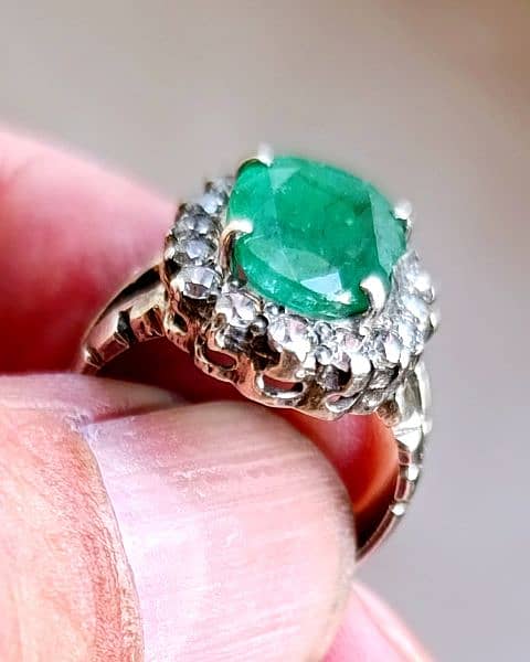 ~Emerald pansher unheated and untreated. 0