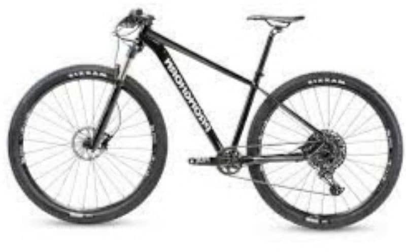 USA MTB 29er Hardtail with DtSwiss 3
