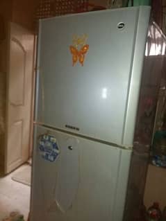 Pel Refrigerator 0