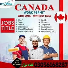Jobs For male And female / Company Visa / Jobs In Canada
Company