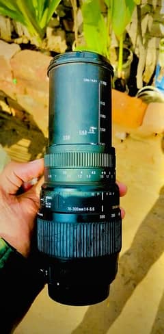Sigma 70-300mm lens