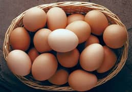 Desi Eggs / Organic Eggs. Available