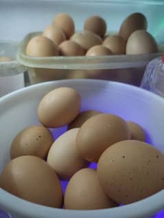 Desi Eggs 0