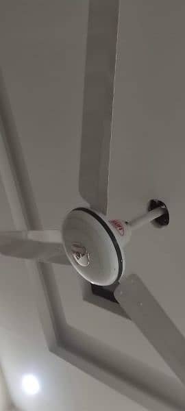 Ceiling Fan | AC - DC Fan | Copper Fan | Padestal Fan 5