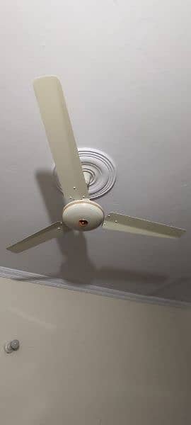 Ceiling Fan | AC - DC Fan | Copper Fan | Padestal Fan 7