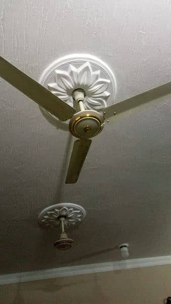 Ceiling Fan | AC - DC Fan | Copper Fan | Padestal Fan 11