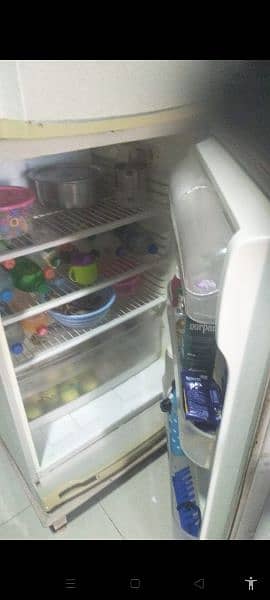 pel refrigerator 2