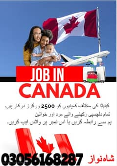 Jobs For male And female / Company Visa / Jobs In Canada