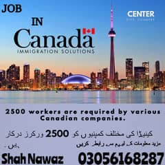 Company Visa, vacancies Available, Staff Required in Canada