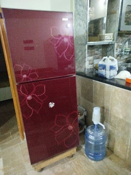 Orient glass store door fridge