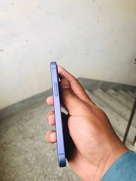 iphone 12 mini 1