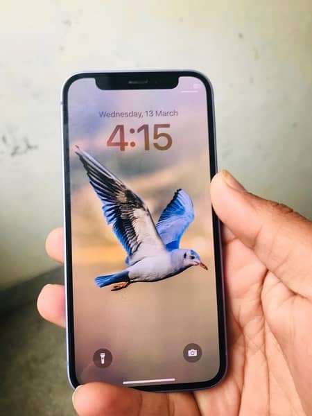 iphone 12 mini 6