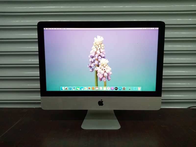 iMac 2015 Late (21.5 Inches) 2