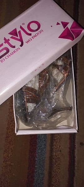 Stylo Brand Original Brand New Heels/casuals/formals available 10
