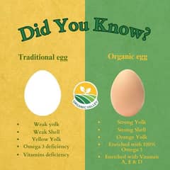 organic   and Fertile eggs 0
