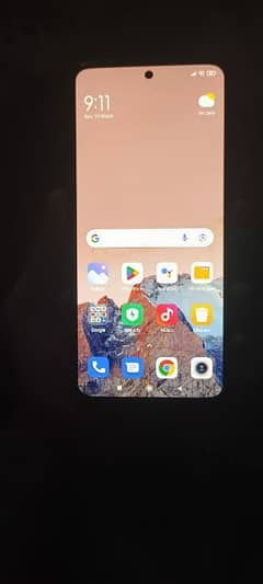 Redmi Note 10 4/128        Only mobile or fast charging ha 0