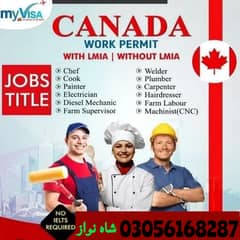 Jobs For male And female / Company Visa / Jobs In Canada