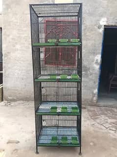cage breeding box parrot pigeon hen all available