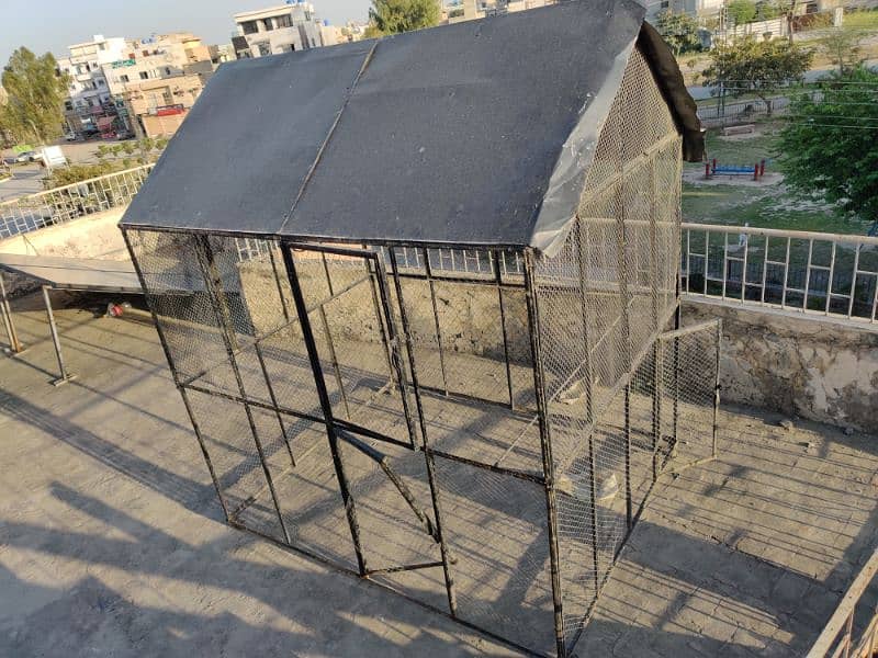 Hen Cage urgent for Sale 1