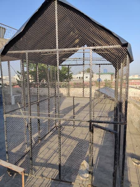 Hen Cage urgent for Sale 2