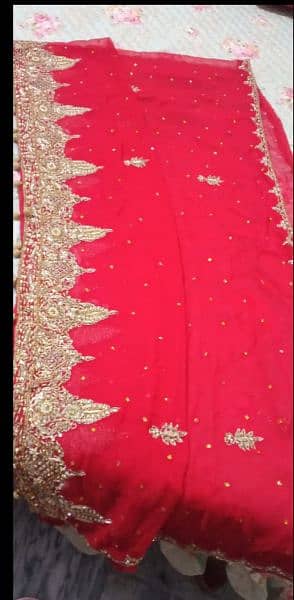 Bridal lehenga/wedding dress/Fancy dress 3