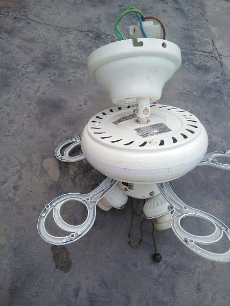 fancy ceiling fan with lights controle 4