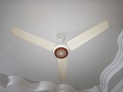 Mint Condition Ceiling Fans available