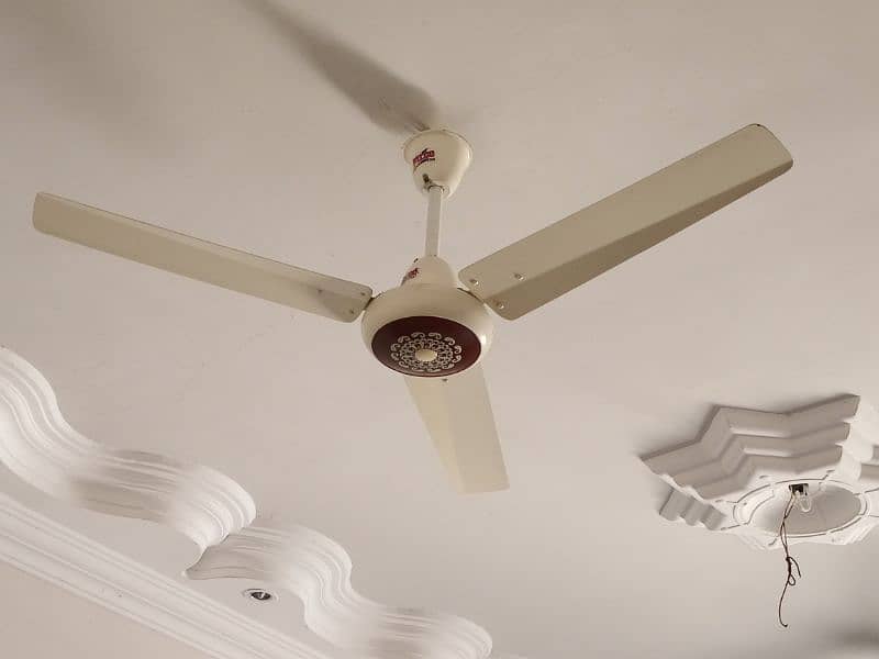 Mint Condition Ceiling Fans available 3