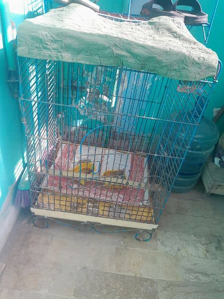 cage for big size 1