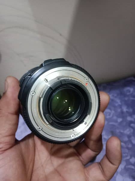 sigma 17-50mm lens Nikon 2