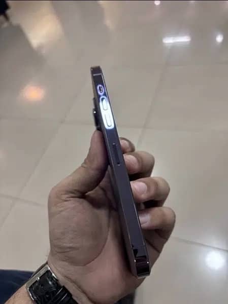 iphone 14 Pro Max deep purple 3