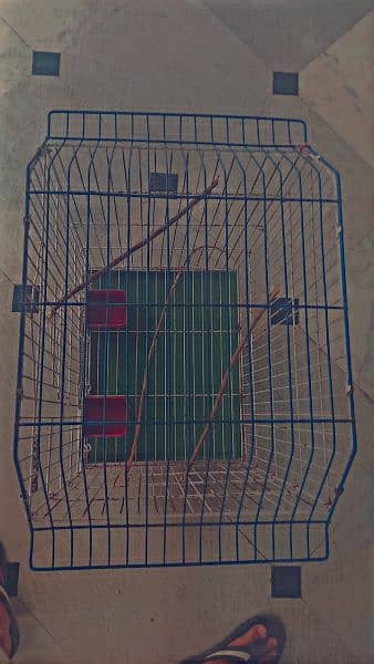 Cage pinjra Big cage 2'x1.5'x1.5' 2