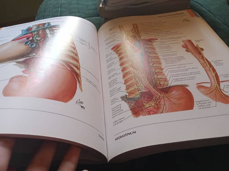 Netter atlas of human anatomy 1