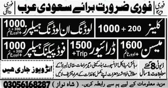 Company Job / vacancies Available / Staff Required