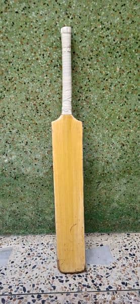 Bat for Cricket 2