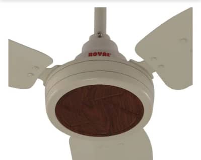 ceiling fan 220v