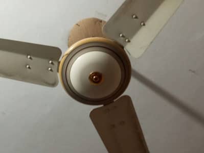 ceiling fan 220v