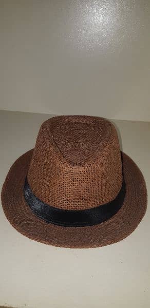 Hat Brown Color 0